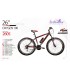 دوچرخه ویوا مدل اکسیژن 100 کد 2605 سایز 26 - VIVA Oxygen100