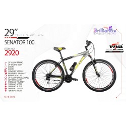 دوچرخه ویوا سناتور 100 کد 2920 سایز 29 - ViVA SENATOR 100