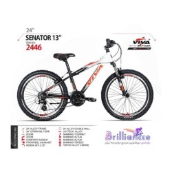 دوچرخه ویوا سناتور کد 2446 سایز 24 - ViVA SENATOER 13