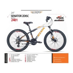 دوچرخه ویوا سناتور دیسکی کد 2401 سایز 24 - ViVA-SENAOR 2Disc